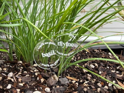 Clear Garden Stakes – 3mm Etched Acrylic