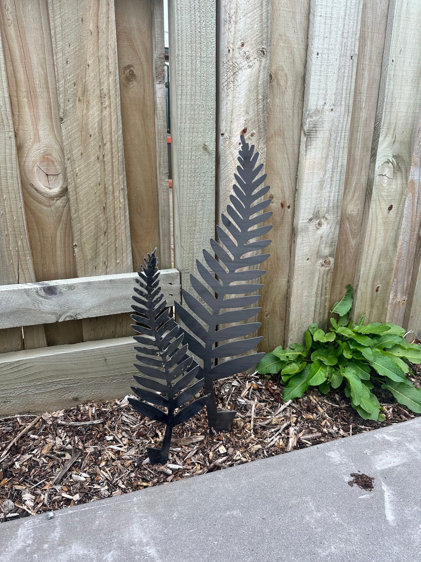 Corten Fern Garden Spikes