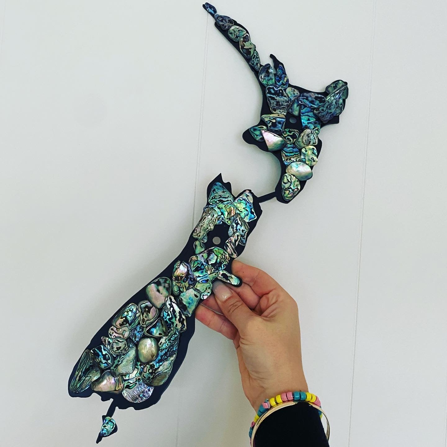 Large Paua New Zealand