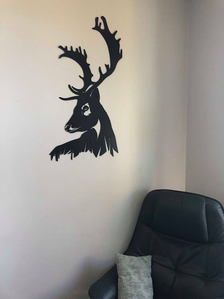 Fallow Deer Head - Plazmart NZ