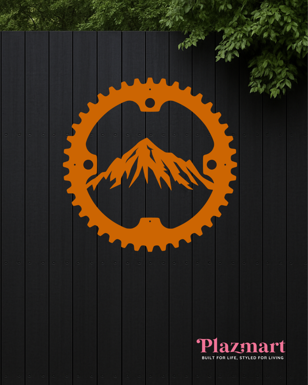 Chain Ring & Mountains