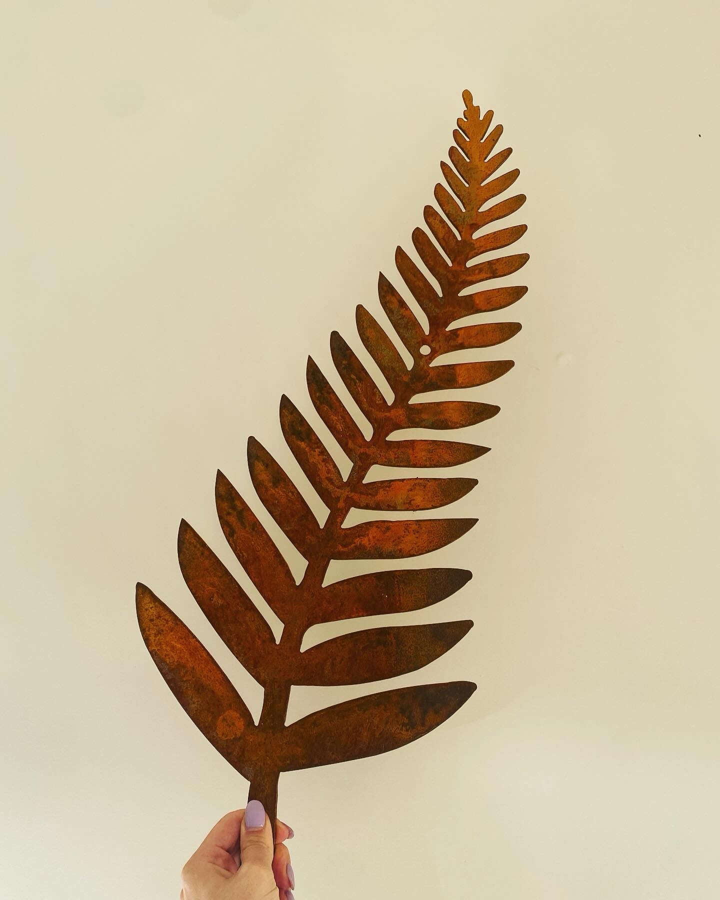 Silver Fern