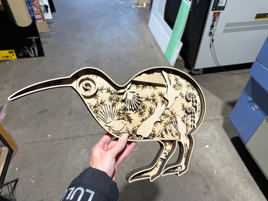 3D Kiwiana Kiwi