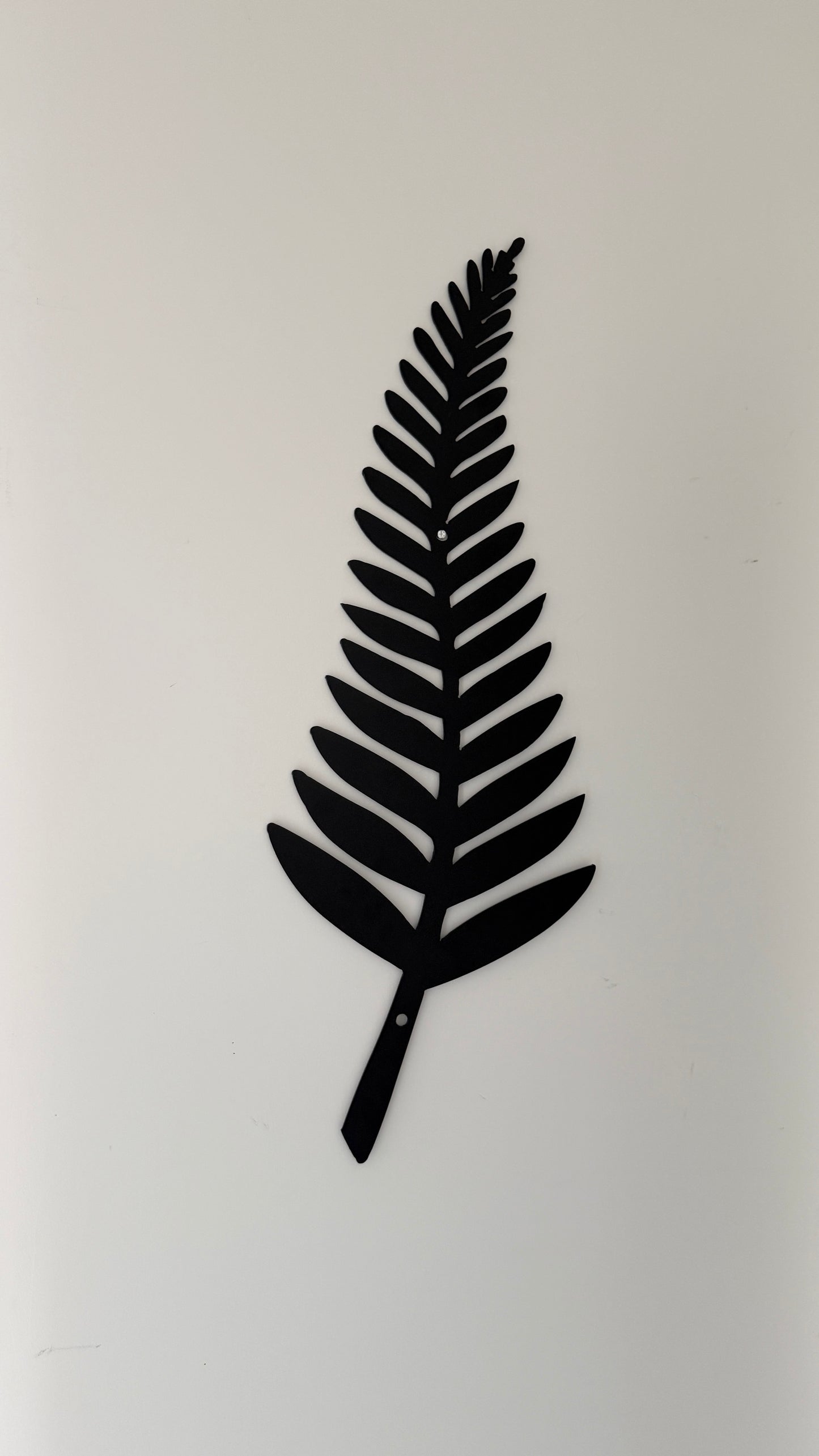Silver Fern