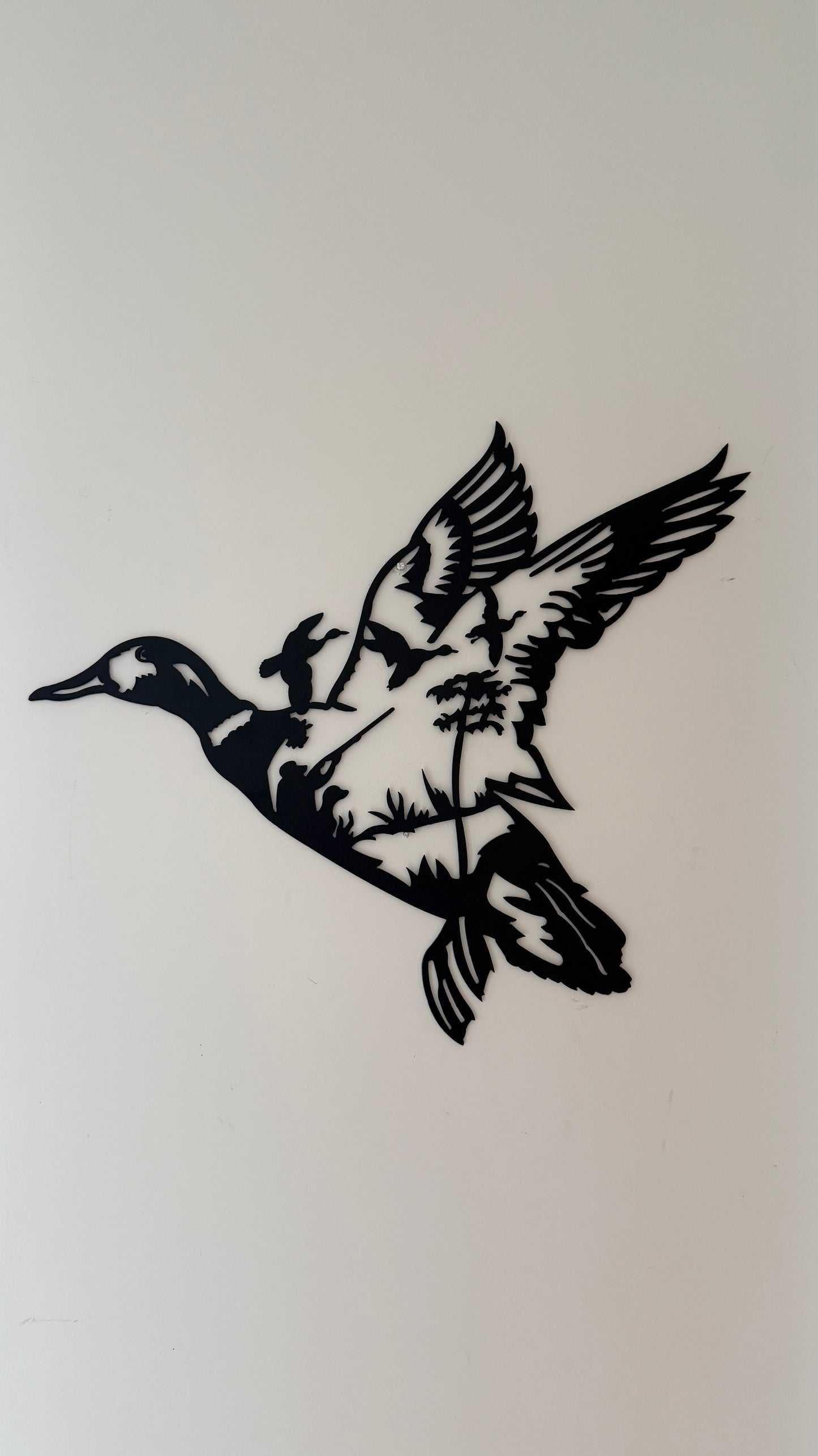 Flying Ducks
