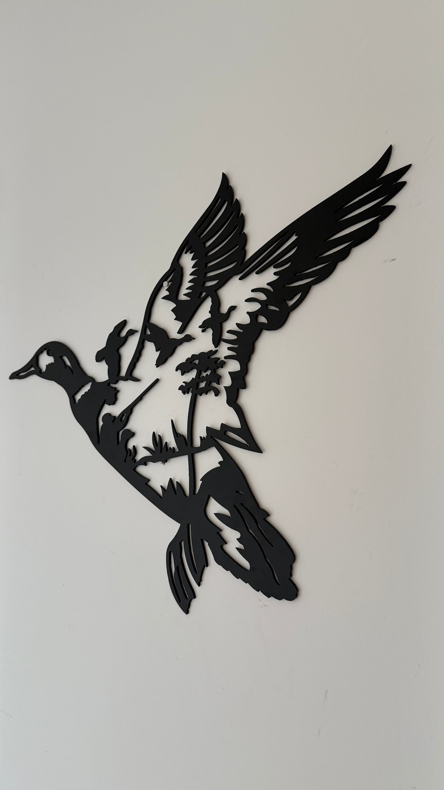 Flying Ducks