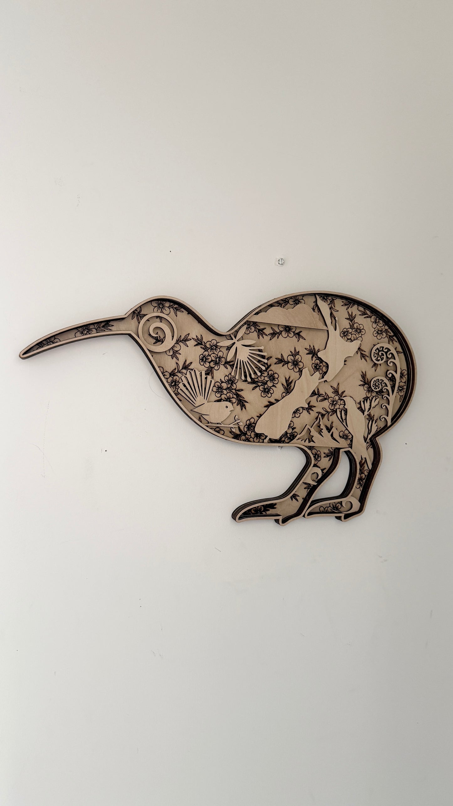 3D Kiwiana Kiwi