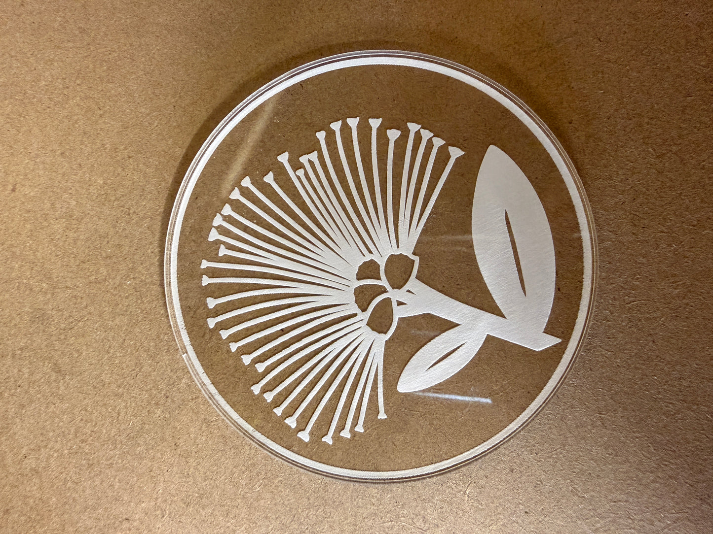 Clear Etched Acrylic Coasters