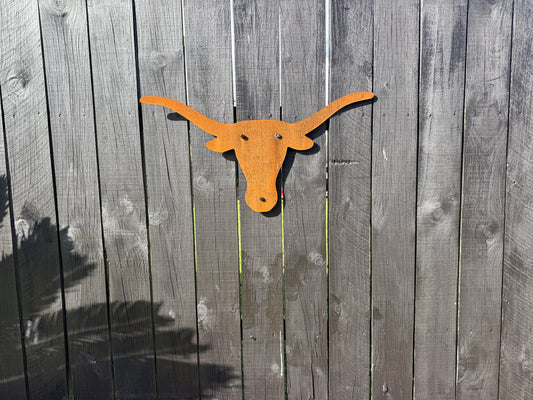 Texas Longhorn