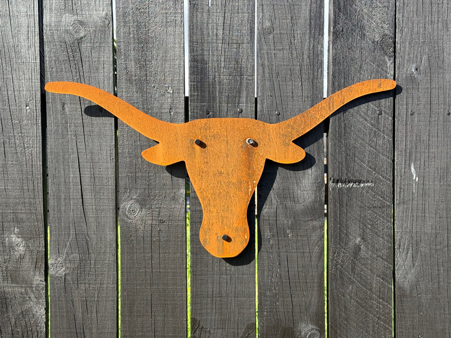 Texas Longhorn