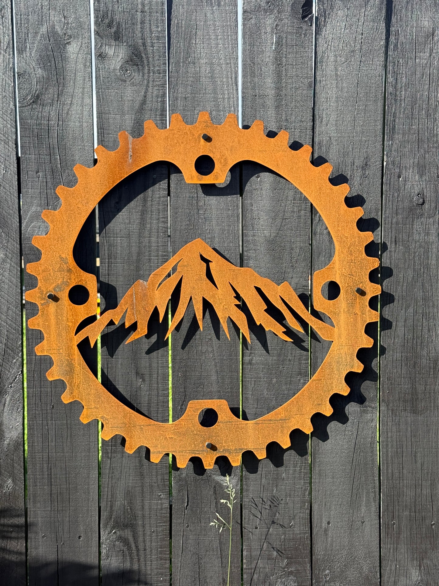 Chain Ring & Mountains