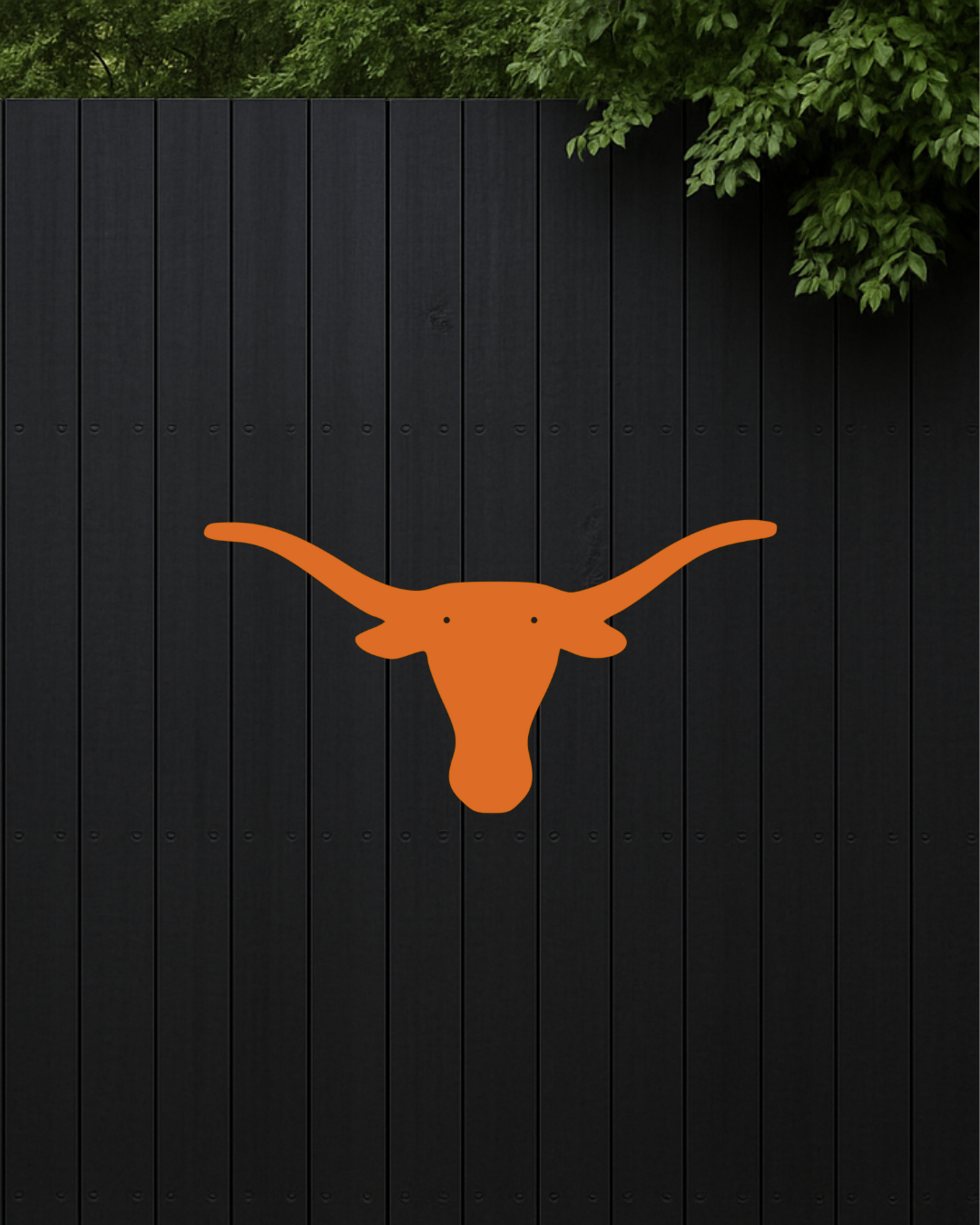 Texas Longhorn