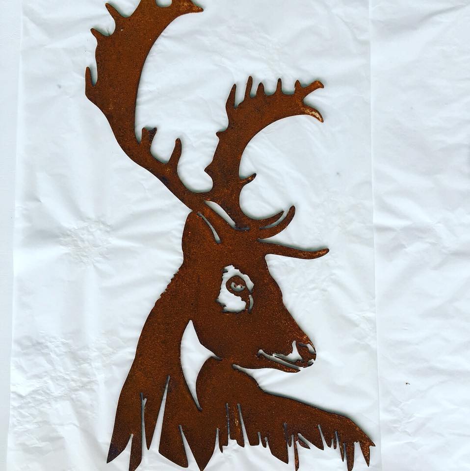 Fallow Deer Head - Plazmart NZ
