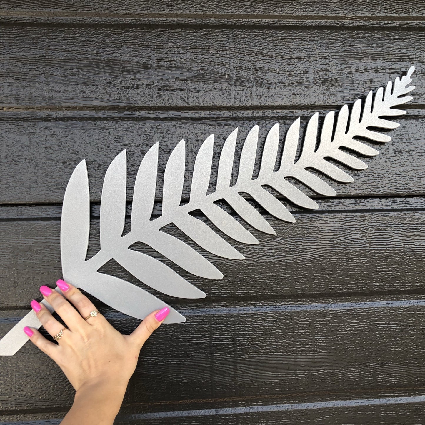 Silver Fern - Plazmart NZ